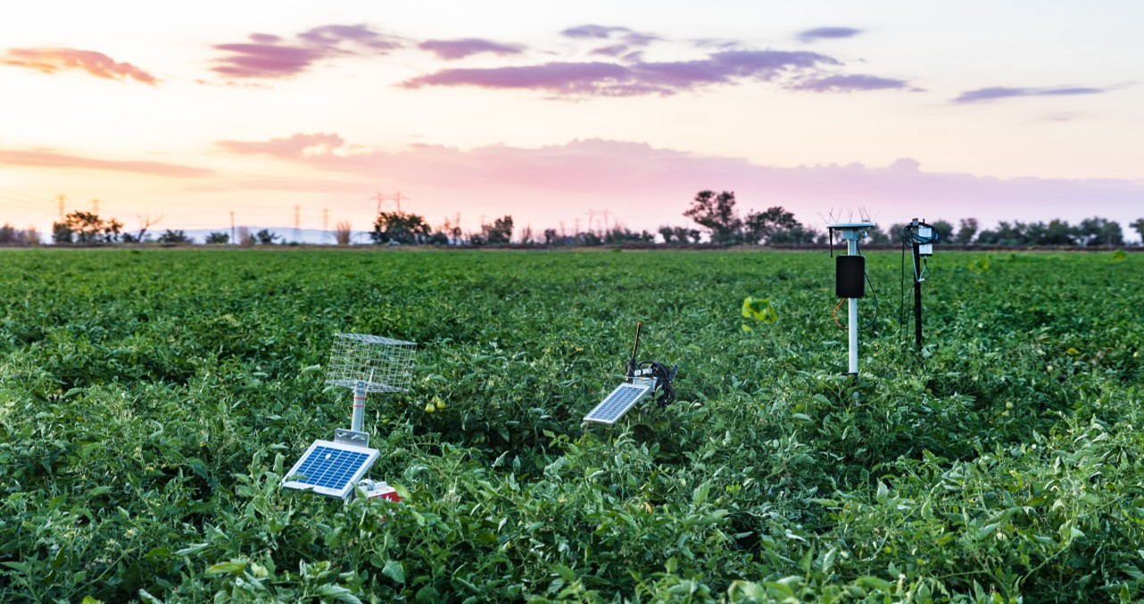  Field Sensors network