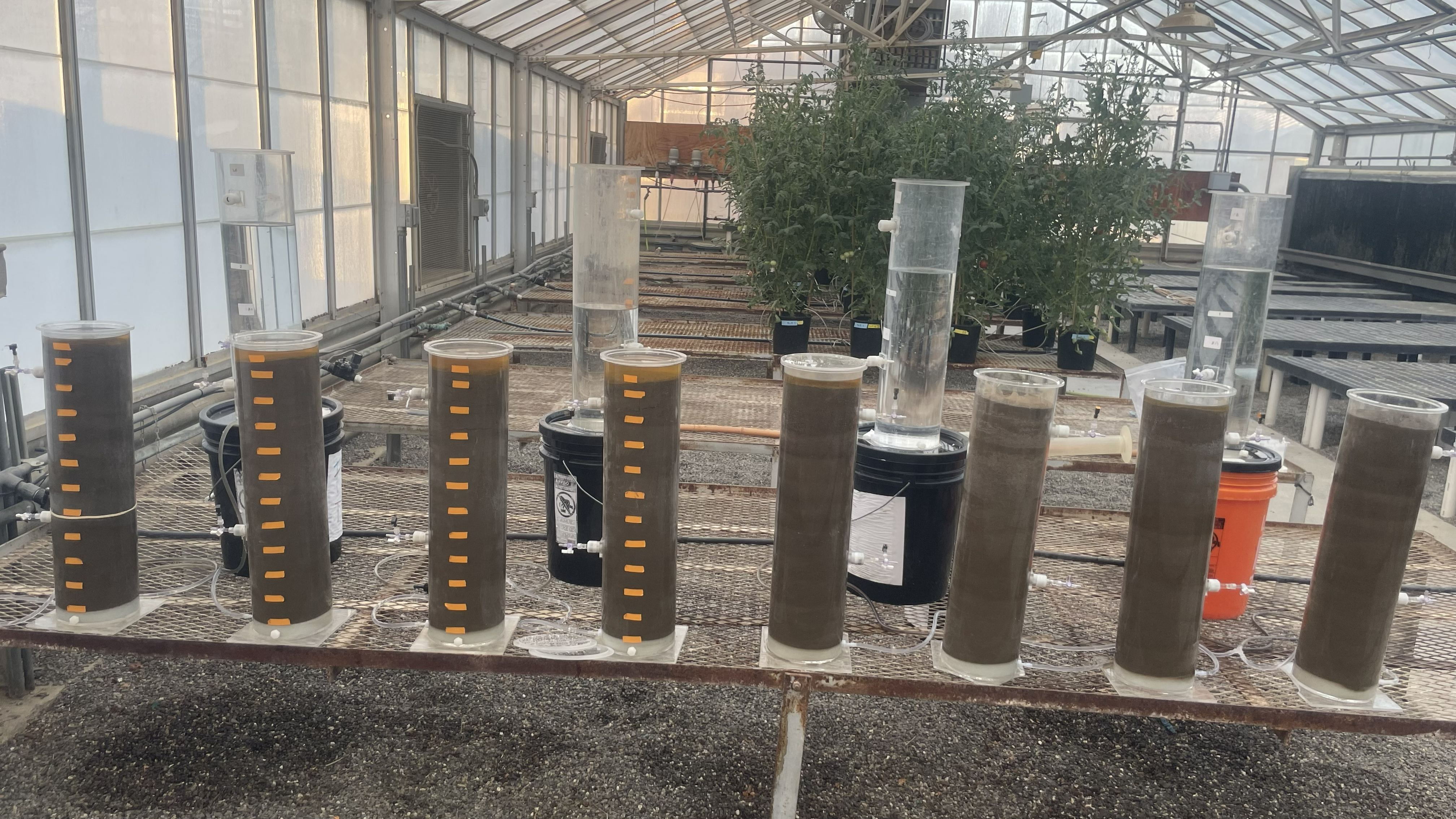  Soil Column Experiments, Salinity and Nitrate Leaching Study