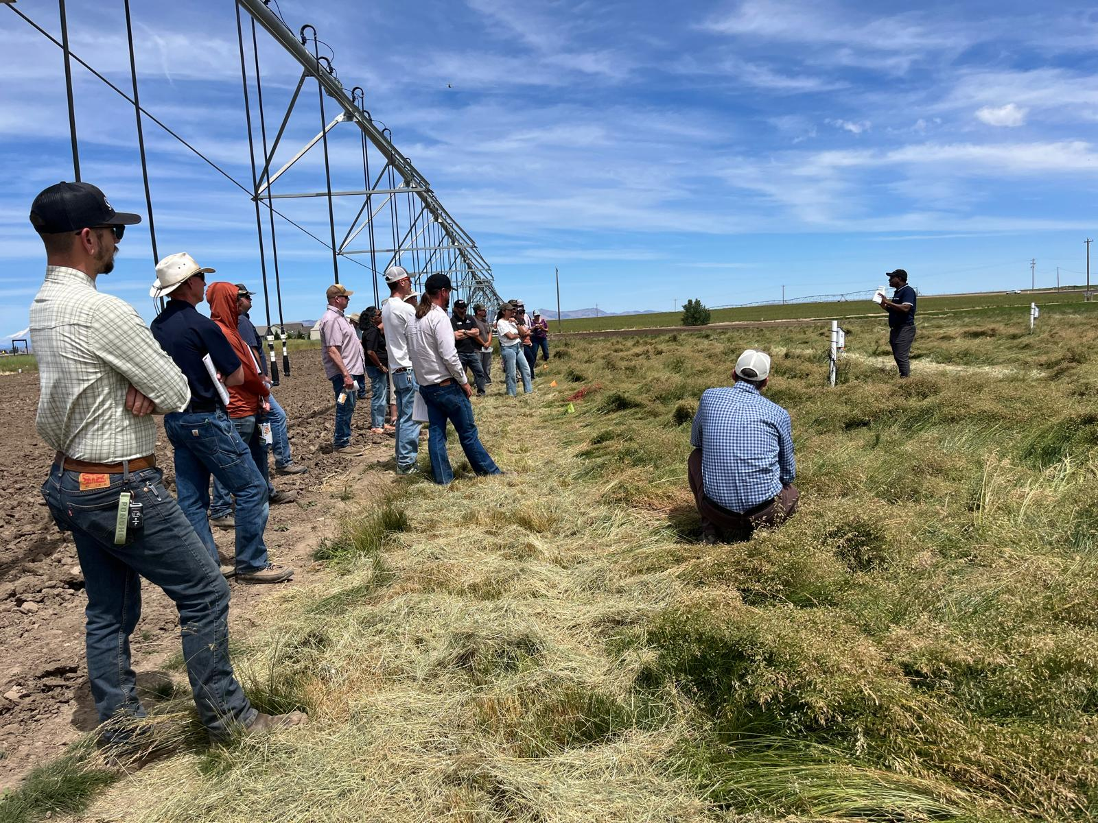  COAREC Field Day