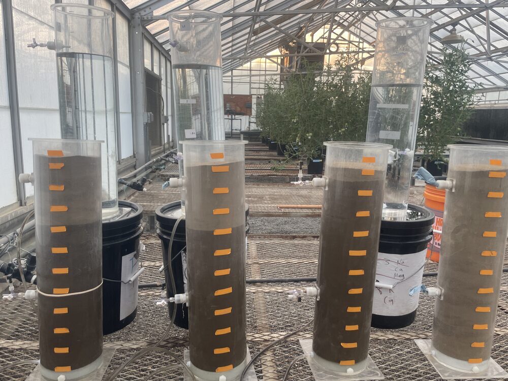 Salinity and Nitrate Leaching Soil Column Experiments