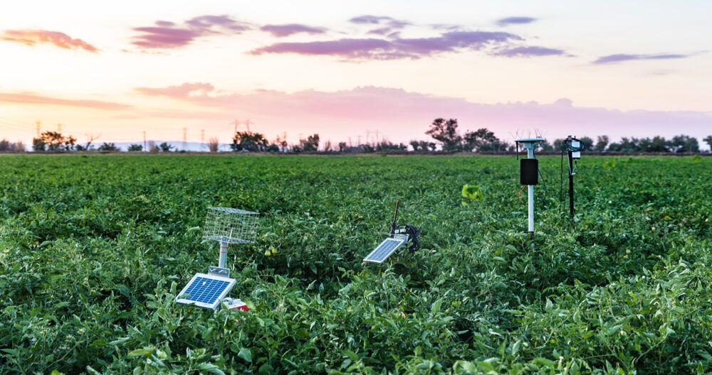 Crop Water Production Functions and Deficit Irrigation Management