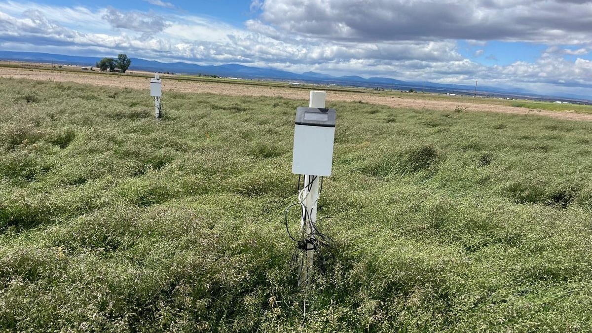 In-field sensor stations