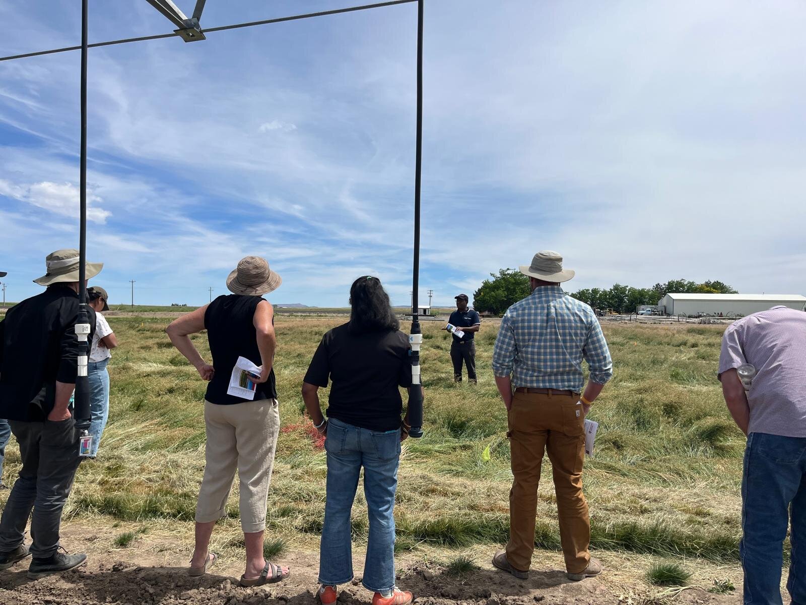 Irrigation field day under a center pivot