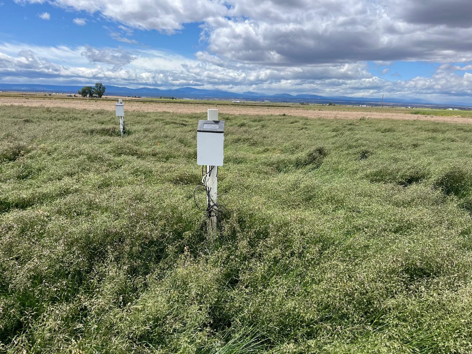 Soil Moisture Data Logger — KBG Irrigation Trial, COAREC